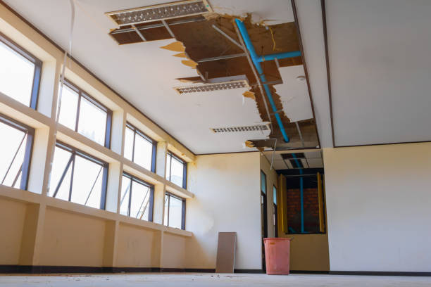 Best Water damage contractors near me  in Desnso, CA