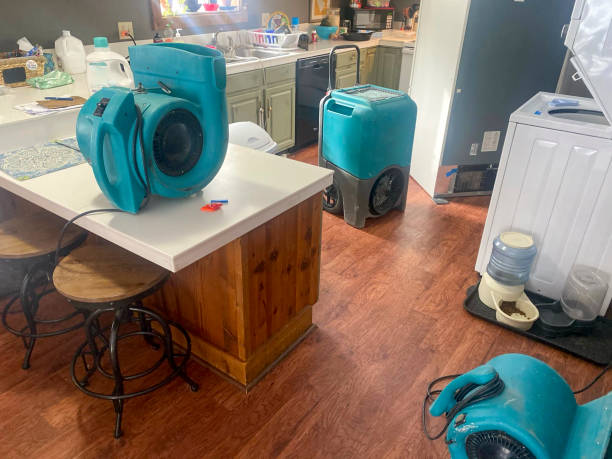 Best Commercial water damage restoration  in Desnso, CA