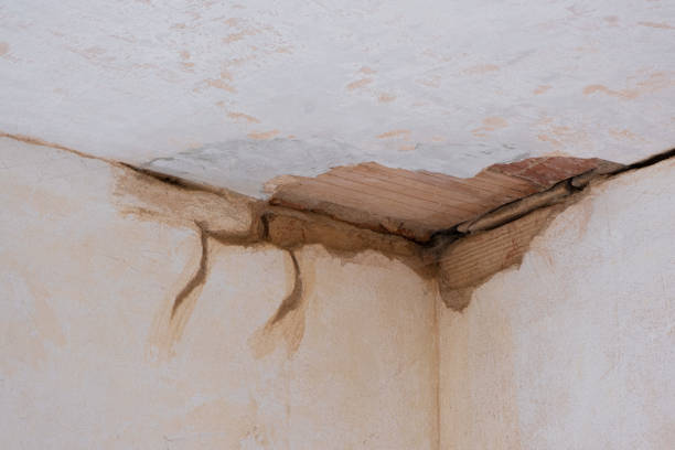 Best Water damage repair service  in Desnso, CA