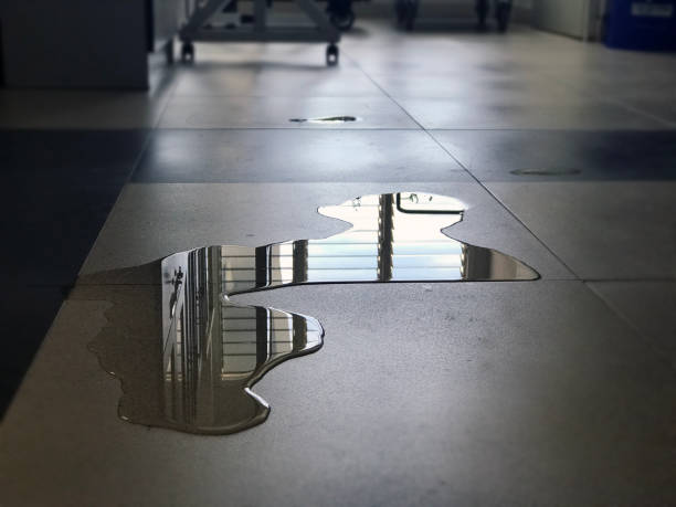 Best Water damage cleanup near me  in Desnso, CA