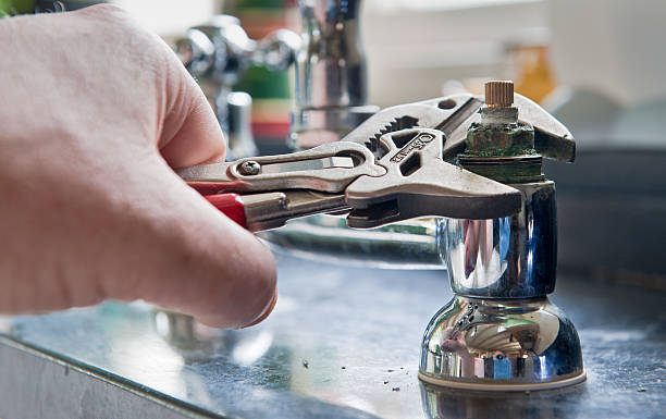 Best Mold removal after water damage  in Desnso, CA