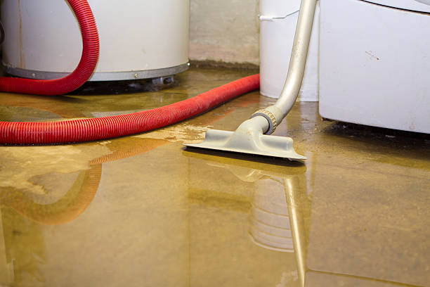 Best Basement water damage restoration  in Desnso, CA