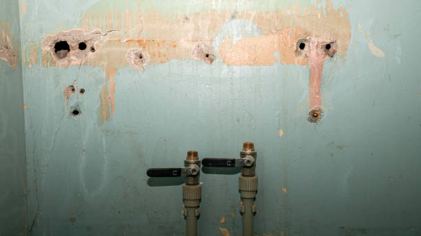 Best 24/7 water damage repair  in Desnso, CA