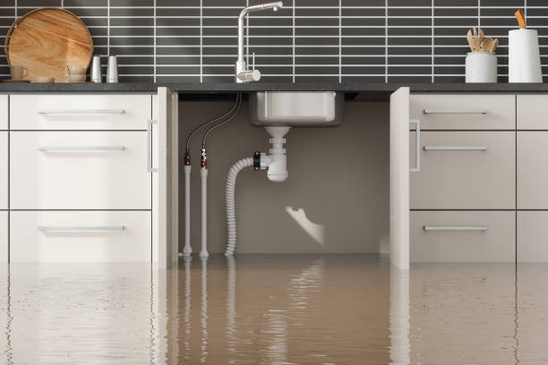 Best Professional water damage repair  in Desnso, CA