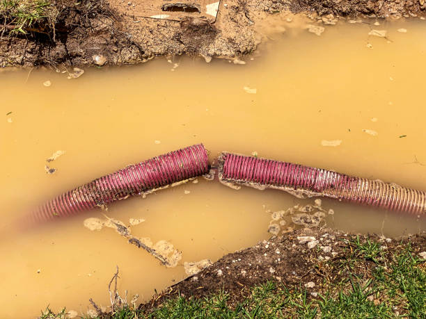 Best 24/7 water damage repair  in Desnso, CA