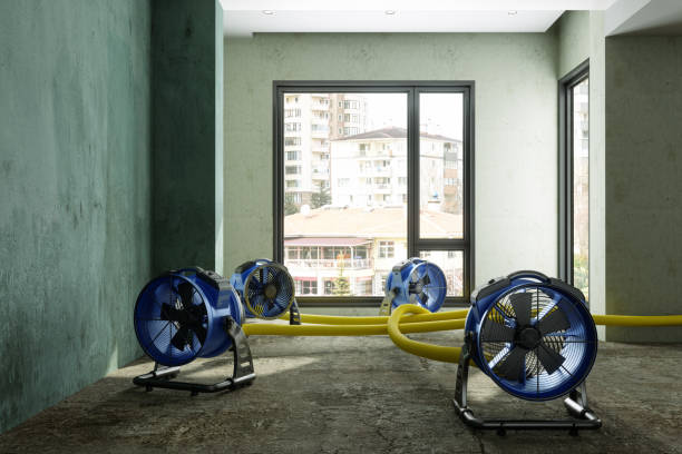 Best Carpet water damage restoration  in Desnso, CA