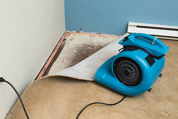  Desnso, CA Water damage restoration Pros